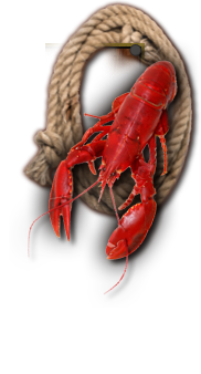 Lobster